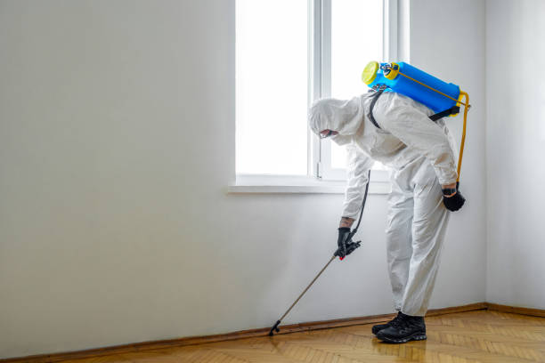Professional Pest Control in Gordonsville, VA